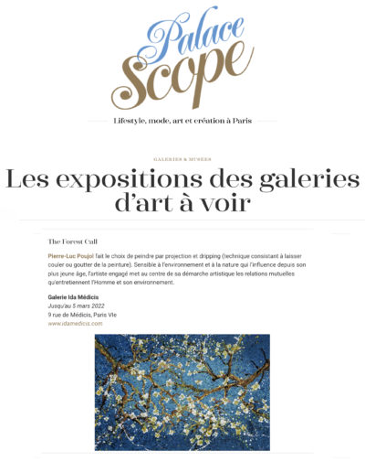 Palace Scope, "Les expositions des galeries d'art à voir", février 2022