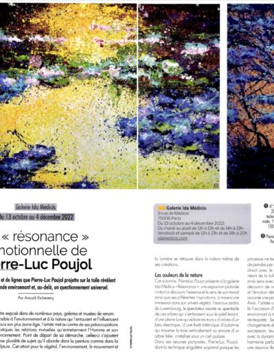 "Les résonances émotionnelles de Pierre-Luc Poujol" , oct-nov 2022