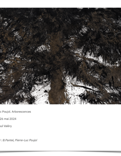 "L'arborescence de Poujol, une immersion artistique au musée Paul Valéry", fév 2024