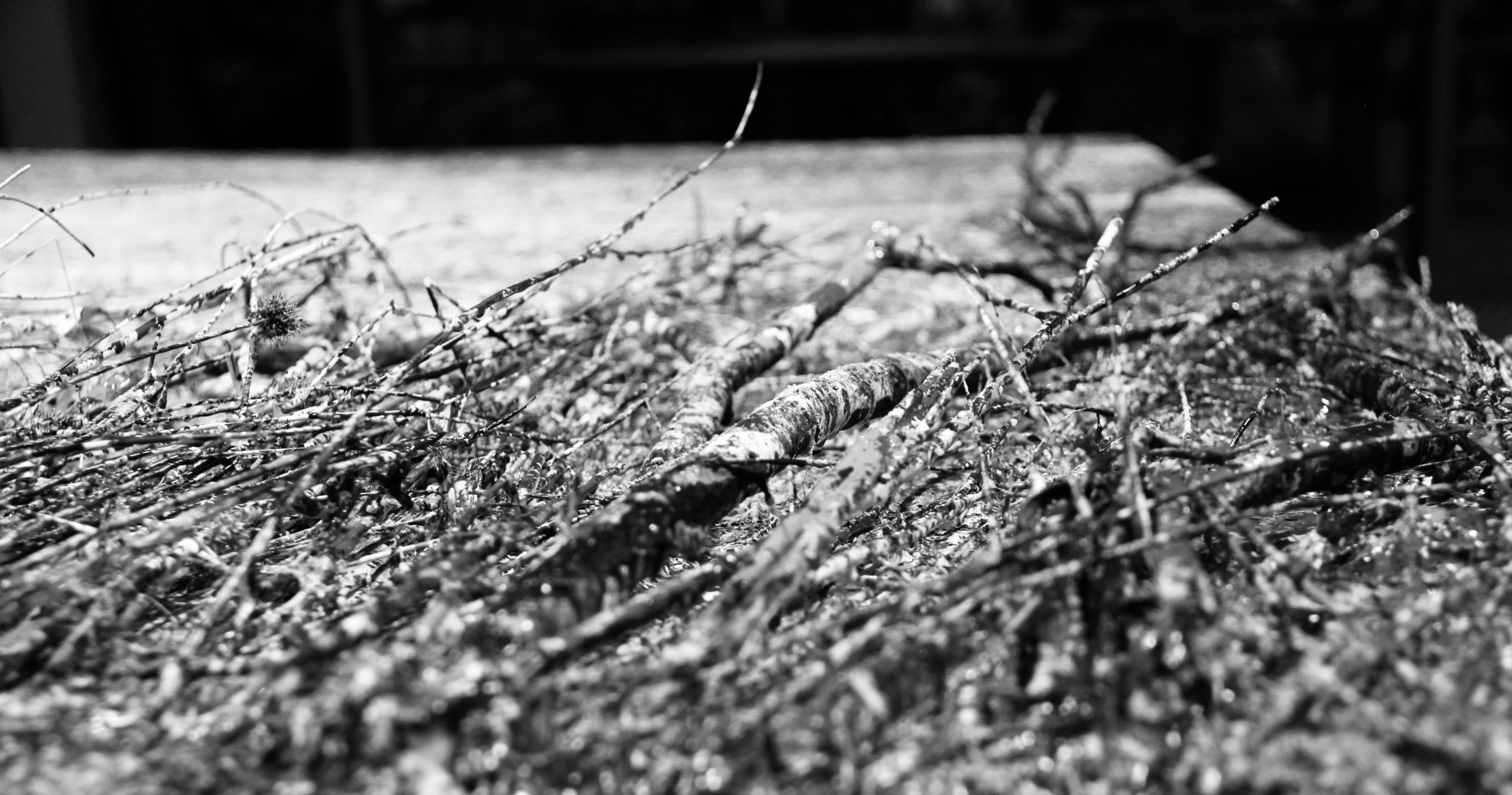 Bandeau photo Videos